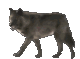 hediyye